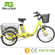 Hot Sale China Factory Electric Trike with 36V 350 Motor